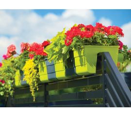 Кашпо, горшки для цветов