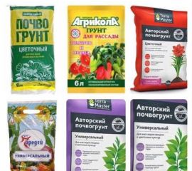 БиоМастер,Plan Terra